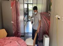 甲醛的危害及清除方法？